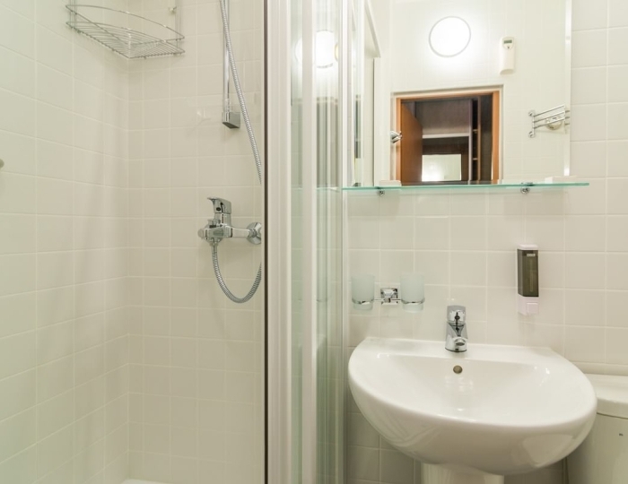 Место в стандартном номере I категории (с подселением) - Санаторий «Россия» Белокуриха