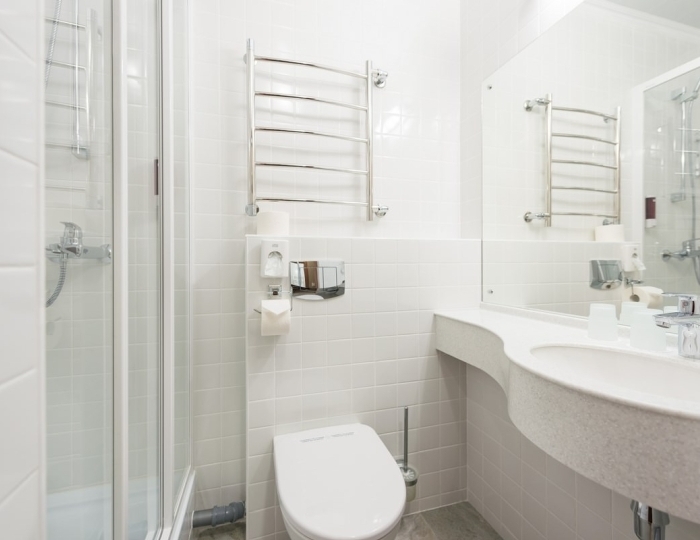 Двухместный стандартный номер 1 категории - Санаторий «Россия» Белокуриха