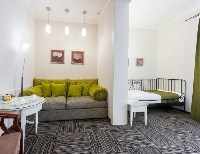 Стандартный номер I категории 4* в Эко-отеле «ЭХО» - Санаторий «Россия» Белокуриха