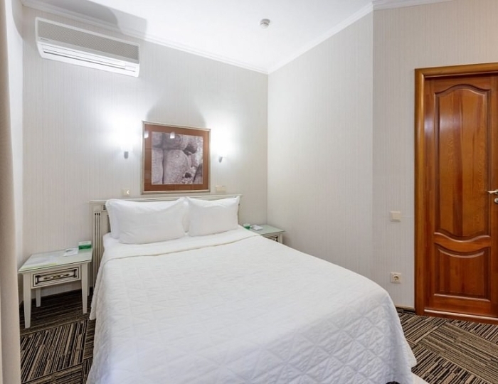 Стандартный номер I категории 4* в Эко-отеле «ЭХО» - Санаторий «Россия» Белокуриха