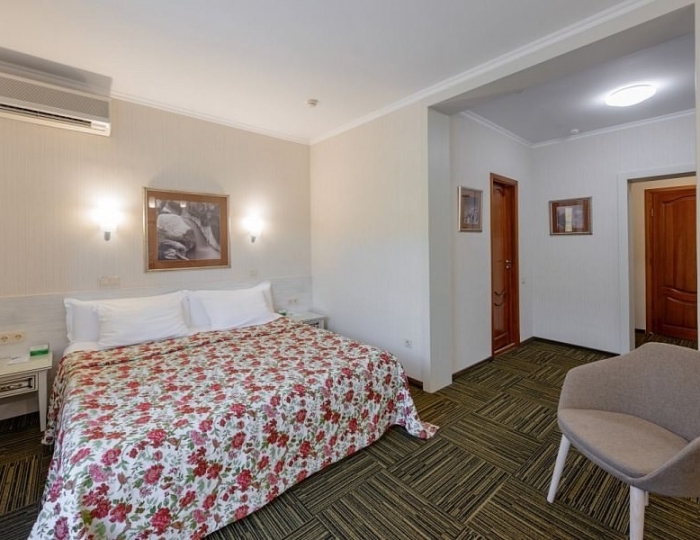 Стандартный номер I категории 4* в Эко-отеле «ЭХО» - Санаторий «Россия» Белокуриха