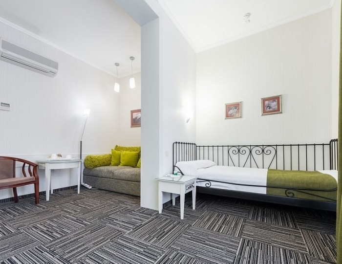 Стандартный номер I категории 4* в Эко-отеле «ЭХО» - Санаторий «Россия» Белокуриха