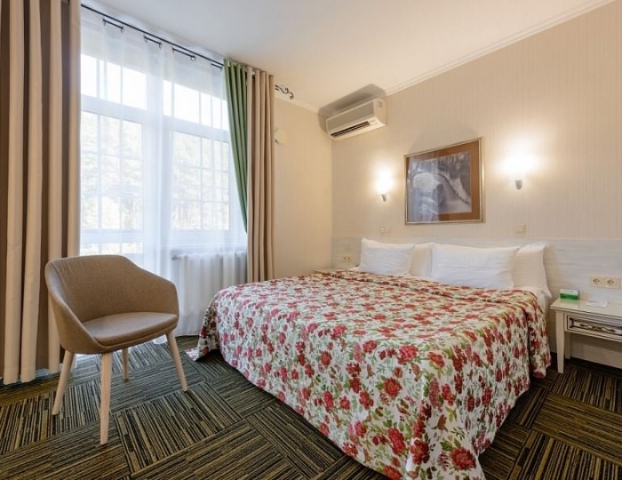 Стандартный номер I категории 4* в Эко-отеле «ЭХО» - Санаторий «Россия» Белокуриха