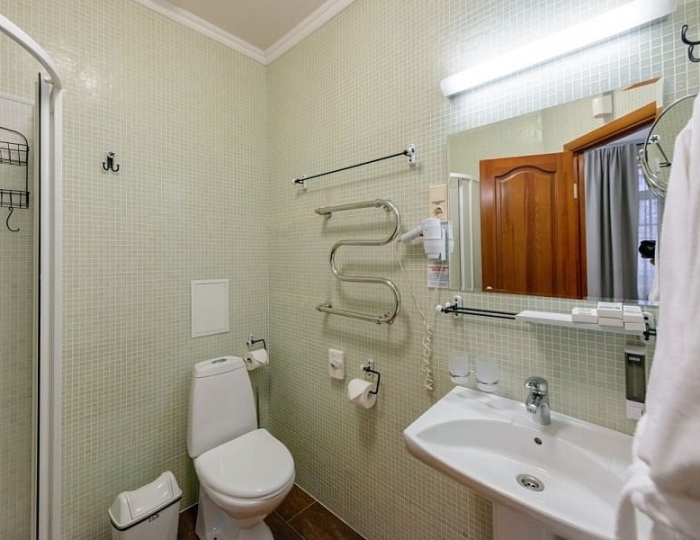 Стандартный номер I категории 4* в Эко-отеле «ЭХО» - Санаторий «Россия» Белокуриха