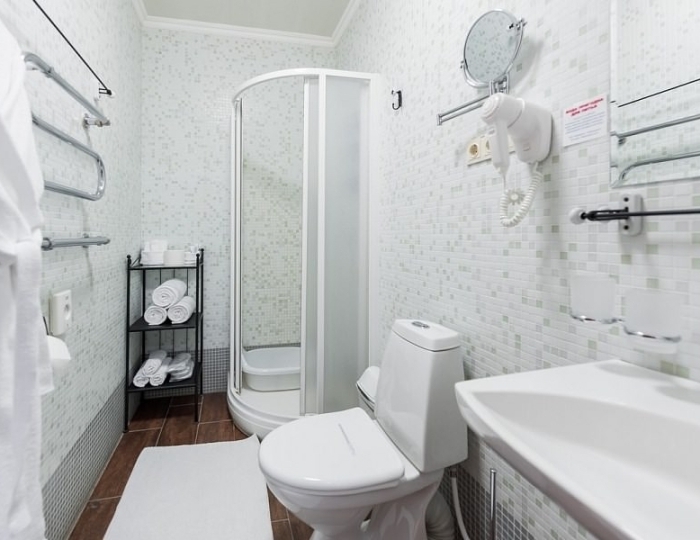 Стандартный номер I категории 4* в Эко-отеле «ЭХО» - Санаторий «Россия» Белокуриха